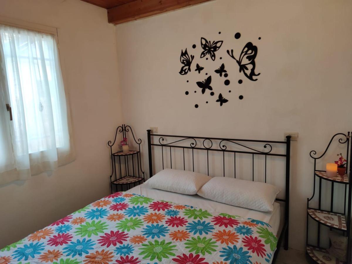 Stellina Villa Lido di Volano Esterno foto